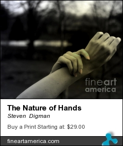 The Nature of Hands